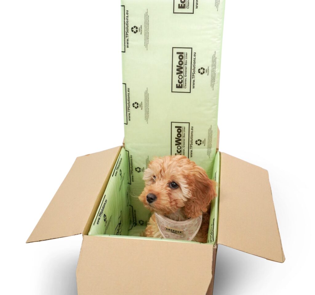 Shipping Frozen Raw Dog Food: A How-To