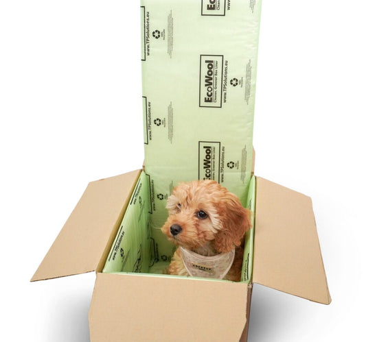 Shipping Frozen Raw Dog Food: A How-To